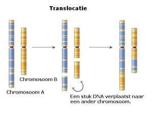 Chromosoom-translocatie